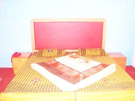 Hotel Shanti Kunj, Manali 4